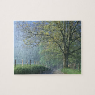 N.A., USA, Tennessee, Smokey Mts. National Park, Jigsaw Puzzle