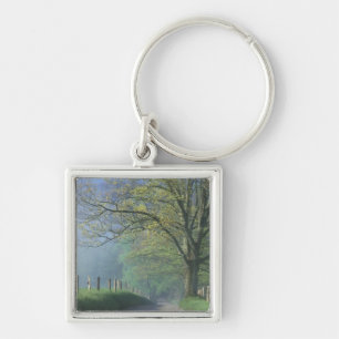N.A., USA, Tennessee, Smokey Mts. National Park, Key Ring