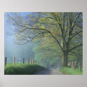 N.A., USA, Tennessee, Smokey Mts. National Park, Poster