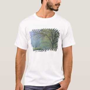 N.A., USA, Tennessee, Smokey Mts. National Park, T-Shirt