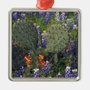 N.A., USA, Texas, Cactus surrounded by Metal Ornament