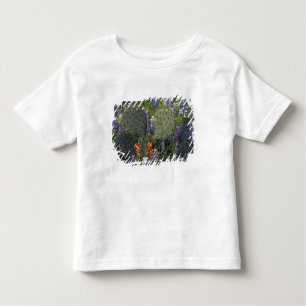 N.A., USA, Texas, Cactus surrounded by Toddler T-Shirt
