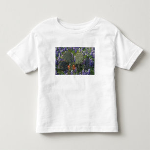 N.A., USA, Texas, Cactus surrounded by Toddler T-Shirt