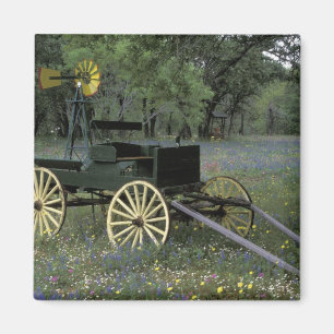 N.A., USA, Texas, Devine, Old wagon and Magnet