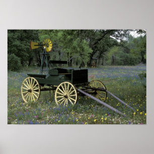 N.A., USA, Texas, Devine, Old wagon and Poster