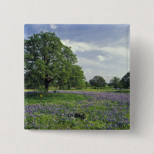 N.A, USA, Texas, Lake Buchanan, Oaks and Blue 15 Cm Square Badge