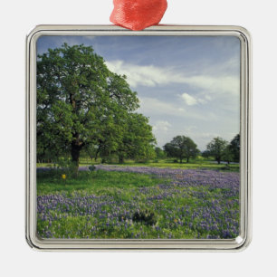 N.A, USA, Texas, Lake Buchanan, Oaks and Blue Metal Ornament
