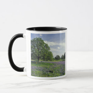 N.A, USA, Texas, Lake Buchanan, Oaks and Blue Mug