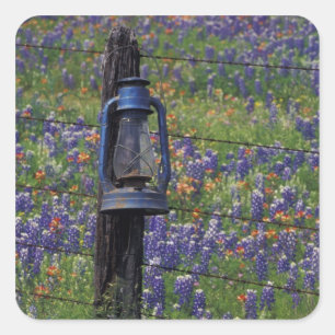 N.A., USA, Texas, Llano, Blue Lantern and Square Sticker