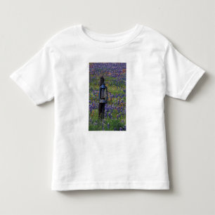 N.A., USA, Texas, Llano, Blue Lantern and Toddler T-Shirt