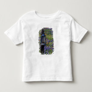 N.A., USA, Texas, Llano, Blue Lantern and Toddler T-Shirt