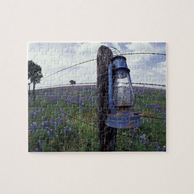 N.A., USA, Texas, Llano, Blue Lantern, Oak tree Jigsaw Puzzle (Horizontal)