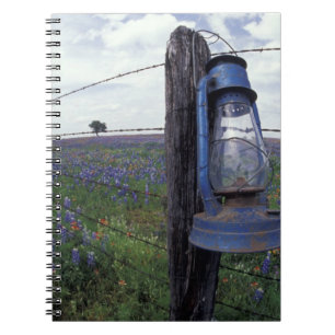 N.A., USA, Texas, Llano, Blue Lantern, Oak tree Notebook