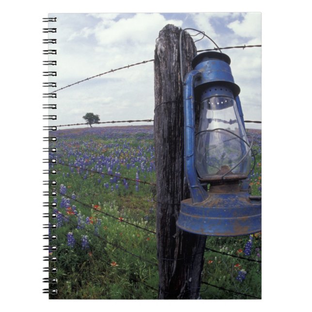 N.A., USA, Texas, Llano, Blue Lantern, Oak tree Notebook (Front)