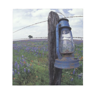 N.A., USA, Texas, Llano, Blue Lantern, Oak tree Notepad