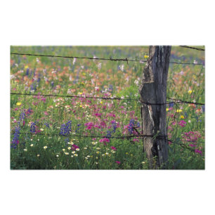 N.A, USA, Texas, Lytle, Fence post and Photo Print