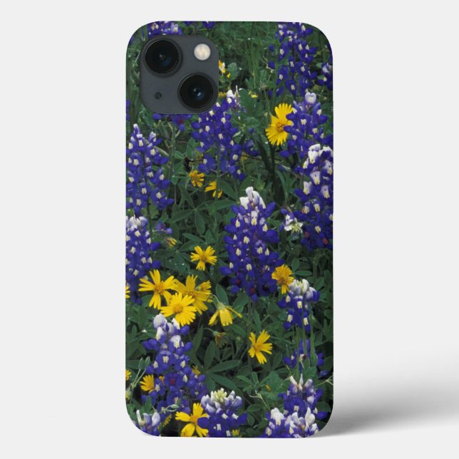 N.A, USA, Texas, Marble Falls, Blue Bonnets Case-Mate iPhone Case (Back)