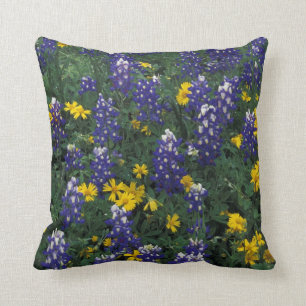 N.A, USA, Texas, Marble Falls, Blue Bonnets Cushion