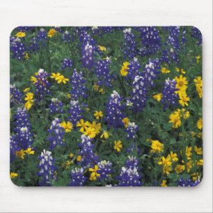 N.A, USA, Texas, Marble Falls, Blue Bonnets Mouse Pad