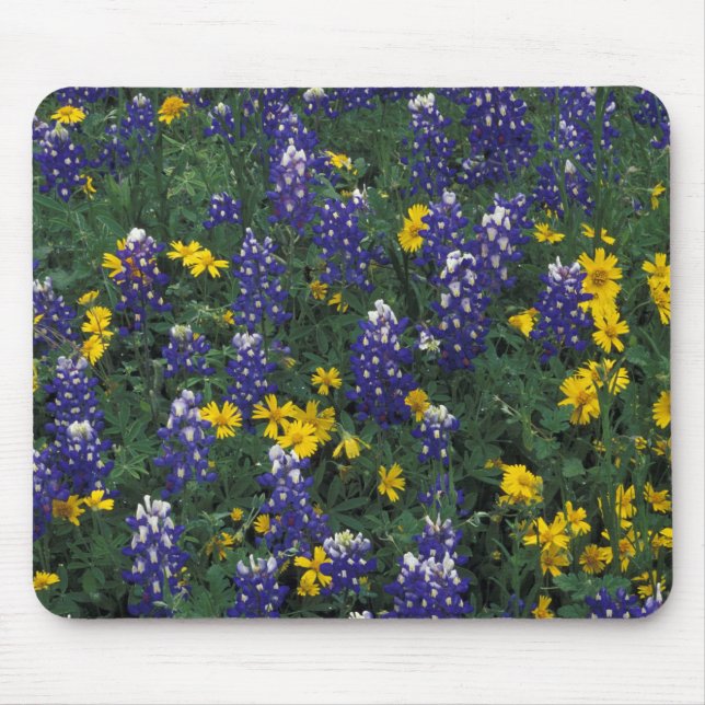 N.A, USA, Texas, Marble Falls, Blue Bonnets Mouse Pad (Front)