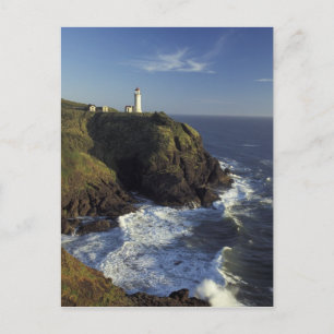 N.A., USA, Washington, Cape Disappointment State Postcard