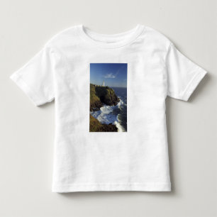 N.A., USA, Washington, Cape Disappointment State Toddler T-Shirt