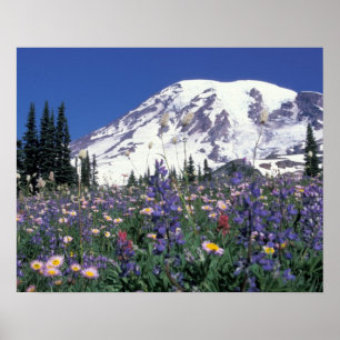 N.A., USA, Washington Mt. Rainier and Poster