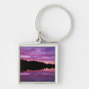 N.A., USA, Washington, Mt. Rainier National 2 Key Ring