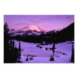 N.A., USA, Washington, Mt. Rainier National 2 Photo Print
