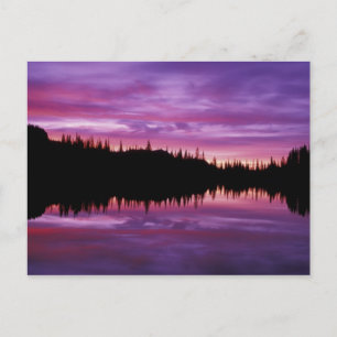 N.A., USA, Washington, Mt. Rainier National 2 Postcard