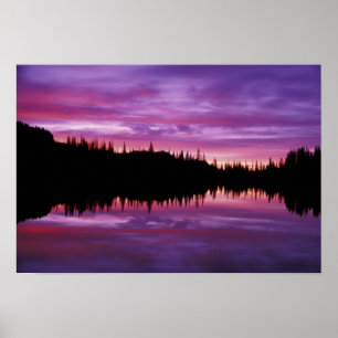 N.A., USA, Washington, Mt. Rainier National 2 Poster