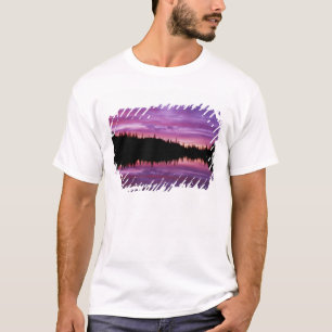 N.A., USA, Washington, Mt. Rainier National 2 T-Shirt