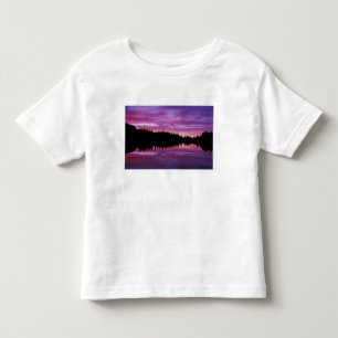 N.A., USA, Washington, Mt. Rainier National 2 Toddler T-Shirt