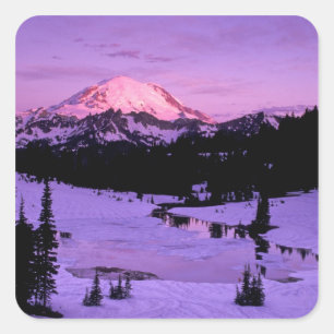 N.A., USA, Washington, Mt. Rainier National 3 Square Sticker
