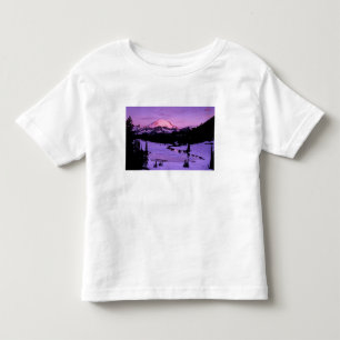 N.A., USA, Washington, Mt. Rainier National 3 Toddler T-Shirt