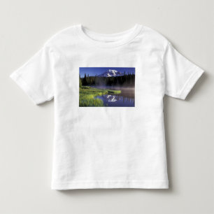N.A., USA, Washington, Mt. Rainier National 5 Toddler T-Shirt