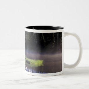 N.A., USA, Washington, Mt. Rainier National 5 Two-Tone Coffee Mug