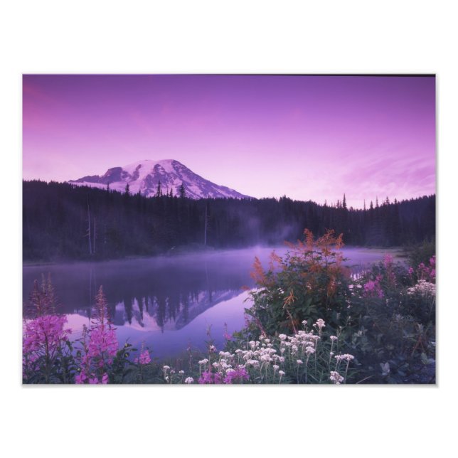 N.A., USA, Washington, Mt. Rainier National Photo Print (Front)