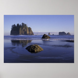 N.A., USA, Washington, Olympic National Park, 3 Poster