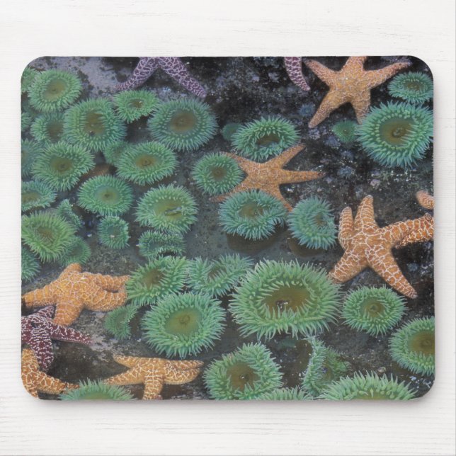 N.A., USA, Washington, Olympic National Park Mouse Pad (Front)