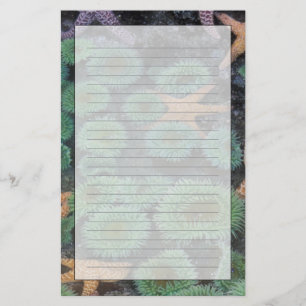 N.A., USA, Washington, Olympic National Park Stationery