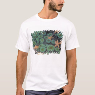 N.A., USA, Washington, Olympic National Park T-Shirt
