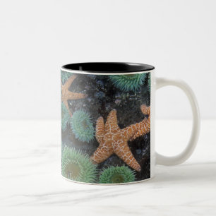 N.A., USA, Washington, Olympic National Park Two-Tone Coffee Mug
