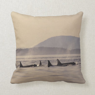 N.A., USA, Washington, San Juan Islands Orca Cushion