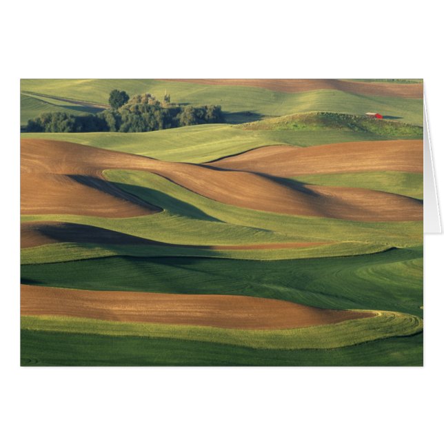 N.A., USA, Washington, Whitman County. (Front Horizontal)