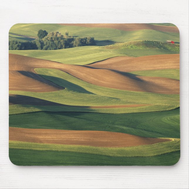 N.A., USA, Washington, Whitman County. Mouse Pad (Front)