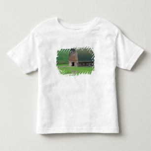 N.A., USA, Washington, Whitman County. Old Toddler T-Shirt