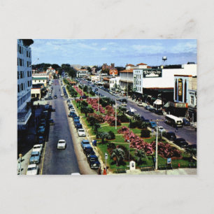 N Palafax St., Pensacola FL Vintage Postcard