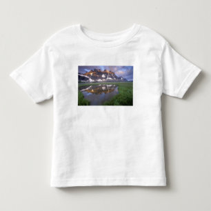 NA, Canada, Alberta, Tonoquin Valley. Jasper Toddler T-Shirt