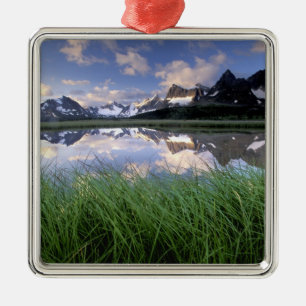 NA, Canada, Alberta, Tonquin Valley. Jasper Metal Tree Decoration